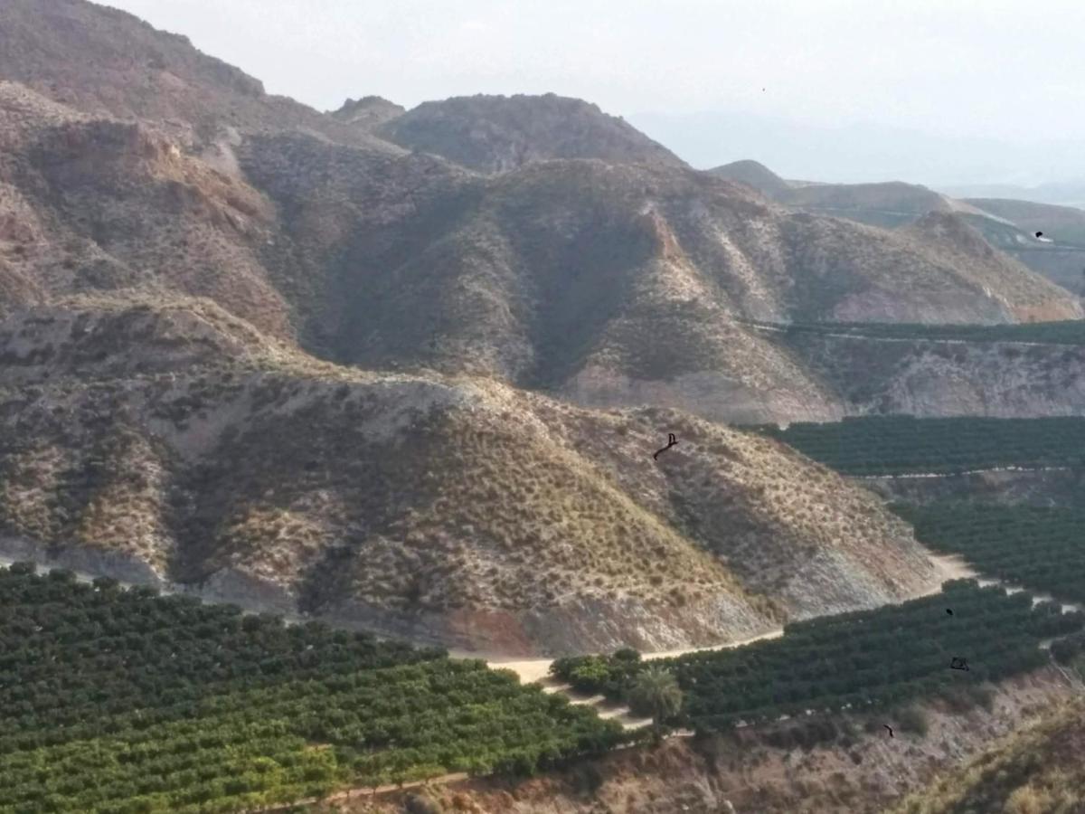 Al Andalus Resort مْبيرا المظهر الخارجي الصورة